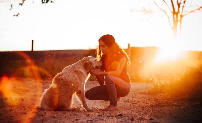 Do Golden Retrievers Choose A Favourite Person?